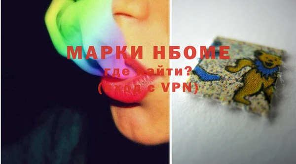 прущие грибы Михайлов