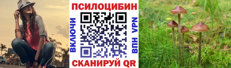 Галлюциногенные грибы мицелий  Рассказово 